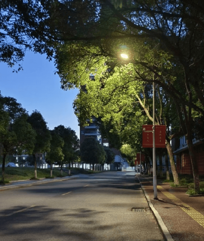 学校医院-当虹科技