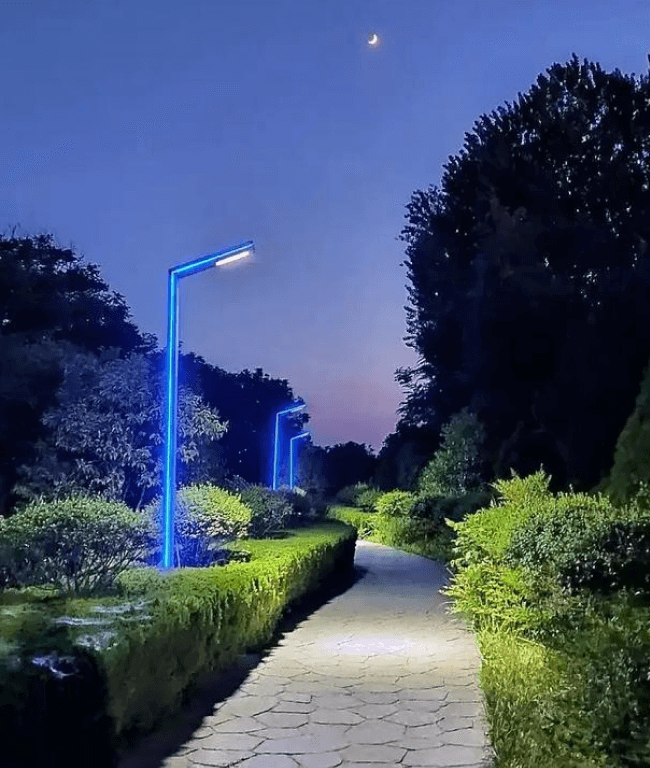 公园景区-当虹科技